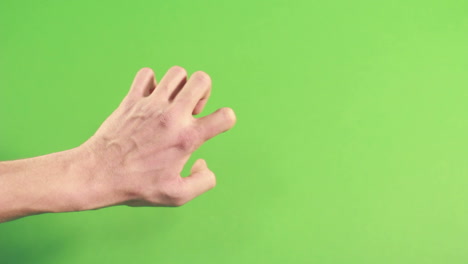 hand isolated on green screen in studio. gesture on background