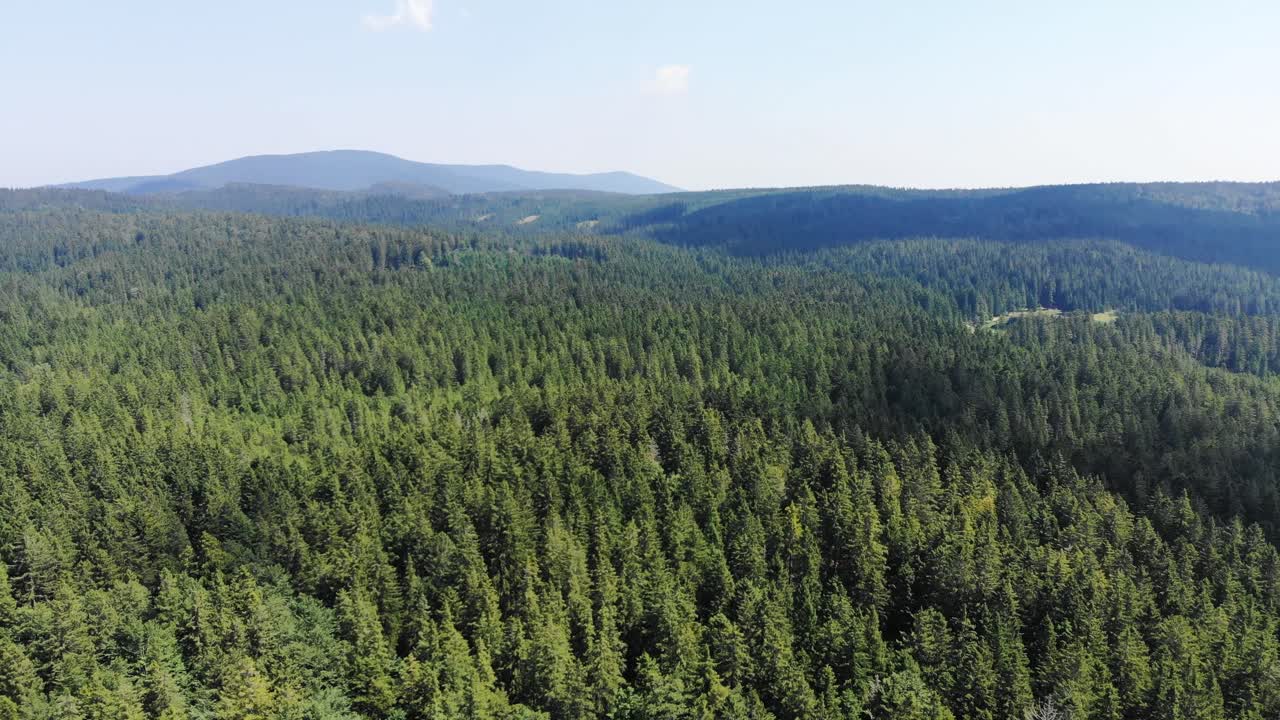 Aerial panning shot of an endless woodland in eastern Slovenia