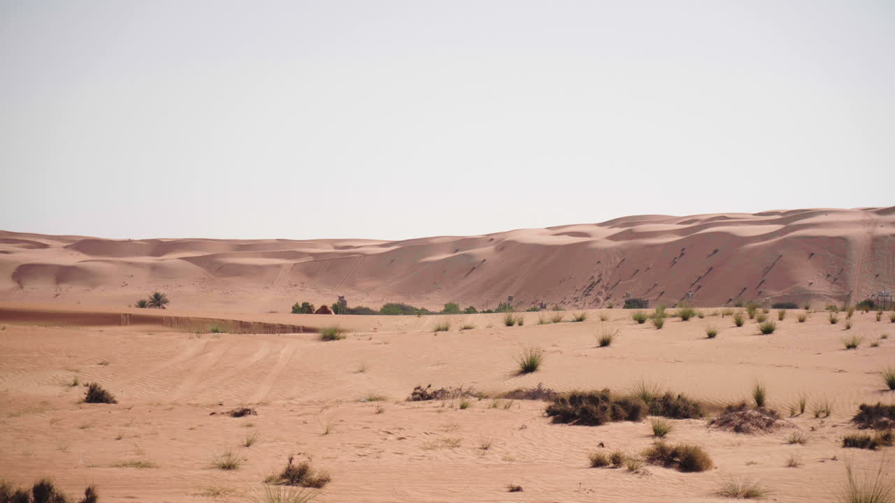 낙타 와 함께 오만 의 와히바 사막 을 가로질러 운전 하는 4x4 지프