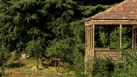 yuriy gyumri, armenia - antigua casa abandonada en el bosque llena de plantas y árboles - plano general