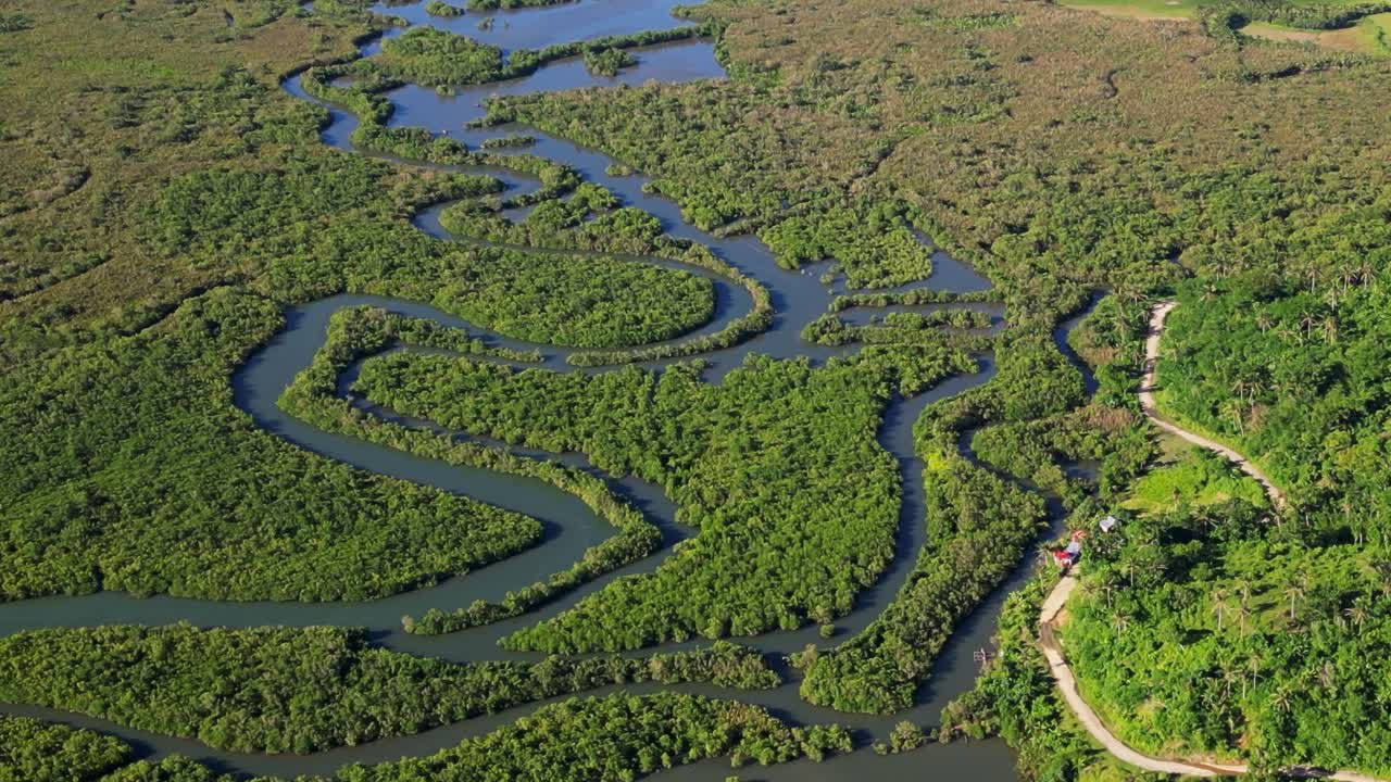 Aerial view of winding mangrove rivers surrounded by lush greenery and hills during daytime - Bato, Catanduanes, Bicol, Philippines