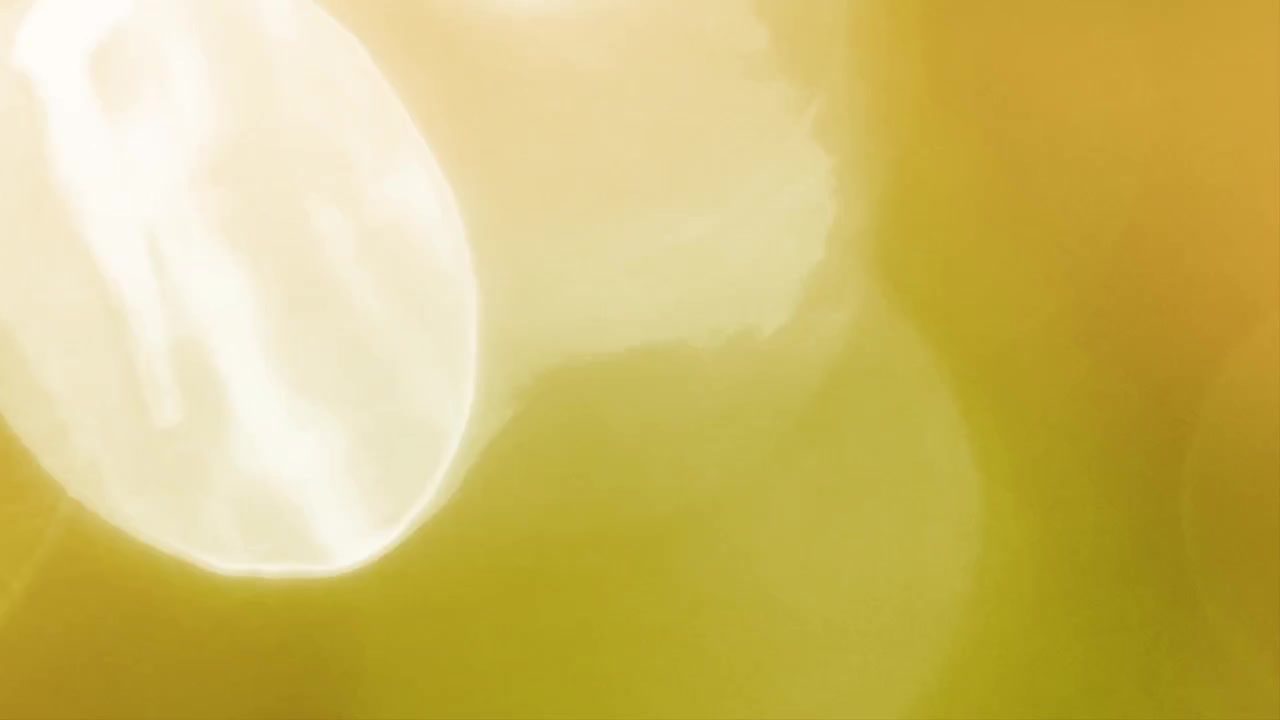 Abstract Light Leaks and Lens Flares Overlay