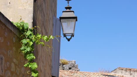 traditional street light with ivy in bordeaux