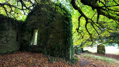 haunted ireland mystical land ghosts of the past ruins in kildare in autumn