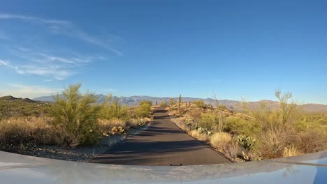 point of view - driving on a ridge above the saguaro forest towards the rincon mountains in the saguaro national park in arizona