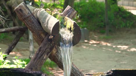 water from wooden pipe slowly fills a hollow on wood on a traditional korean mill then suddenly tips in korean folk village, yongin, south korea