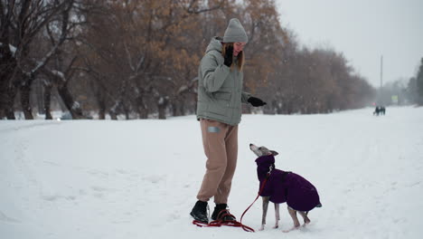 woman wearing winter coat interacts affectionately with greyhound dog in purple outfit on snowy path, snow falling around them as dog stands on hind legs playfully reaching up with leash trailing in snow