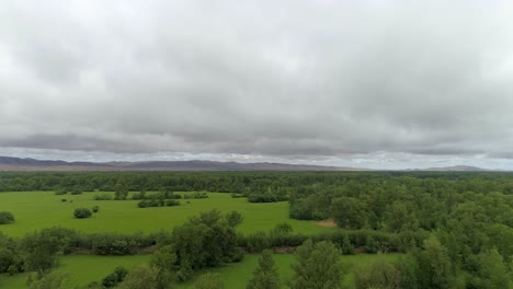 aerial view of green field with forest and mountains in the distance