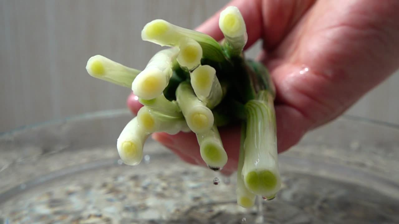 Der Koch holt Frühlingszwiebeln aus dem Wasser. Zeitlupe