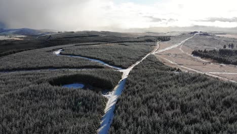 Aerial-forward-view-looking-over-Bellever-Forest,-Dartmoor,-Devon-England,-UK