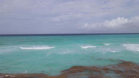 seaweed by the shore of cancun beach with turquoise caribbean sea water