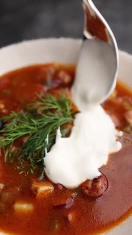 sopa de solyanka con crema