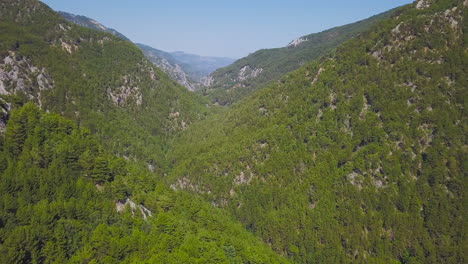 mountain valley and forest scenery