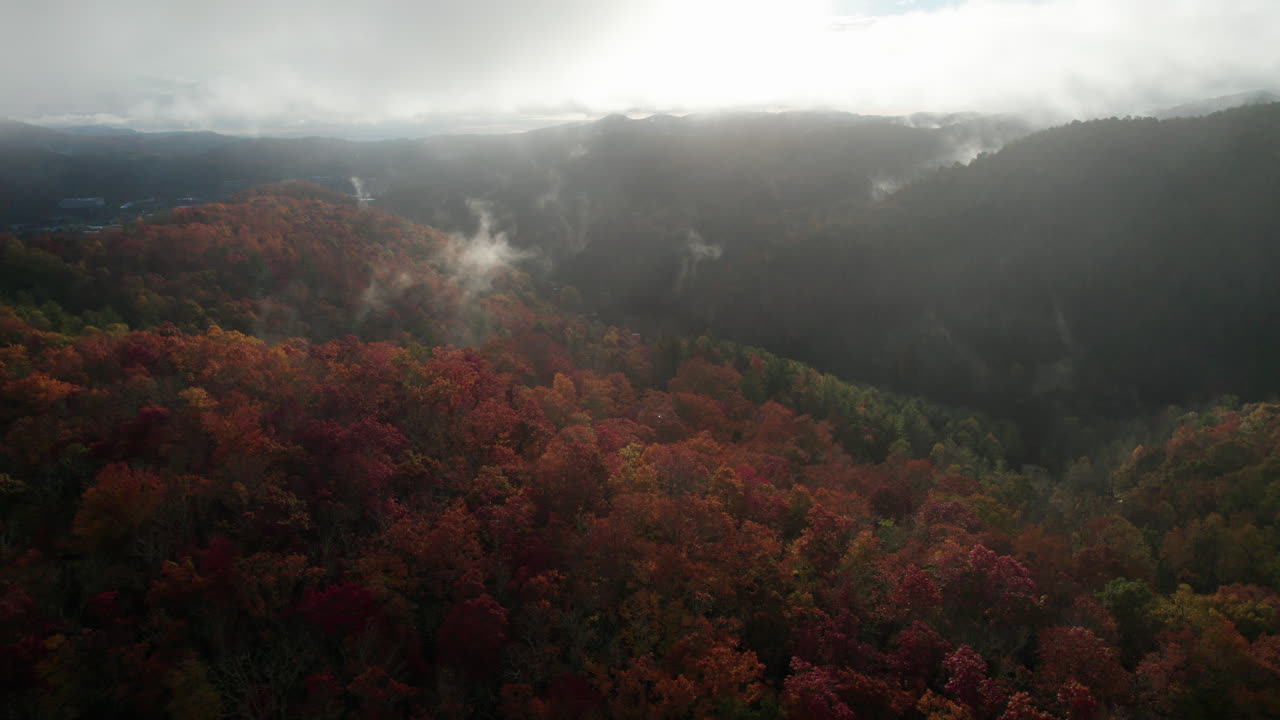 Cinematic drone shot of fall mountain colors in the Great Smokey Mountains North Carolina, towards the sun
