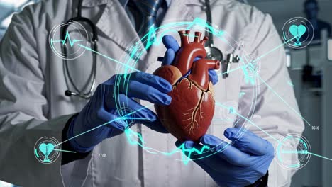 médico examinando un modelo 3d de un corazón