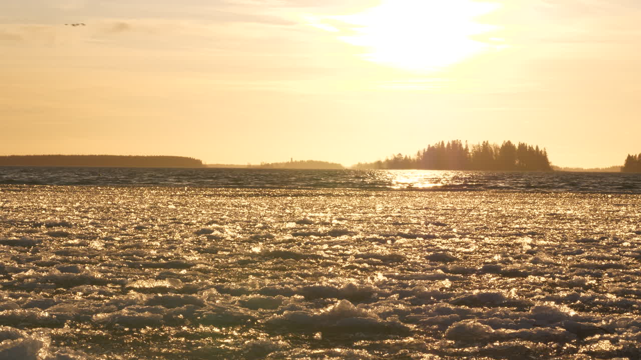 발트해는 금빛 햇빛에 비춰진 파도와 함께 움직이는 얼음 블록으로 얼기 시작합니다.