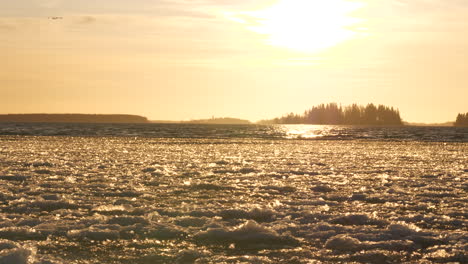 El-Mar-Báltico-Comienza-A-Congelarse-Con-Bloques-De-Hielo-Que-Se-Mueven-Con-Las-Olas-Debajo-De-Ellos,-Iluminados-Por-La-Luz-Del-Sol-Dorada