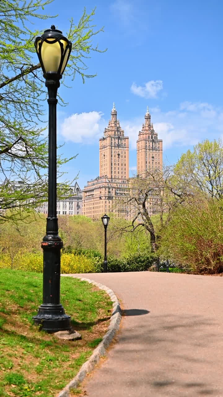 Spring skyline over Central Park. Stroll through Central Park enjoying vibrant greenery and fantastic views of iconic skyscrapers on a sunny day