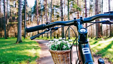 bicycle in a forest path with flowers