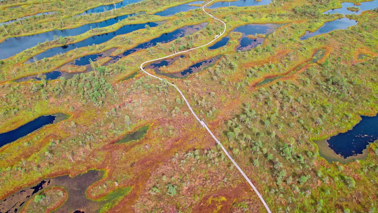 Exploring the scenic wetlands of Kemeri in Latvia from above