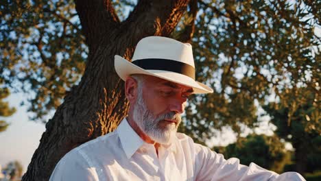 older man under an olive tree