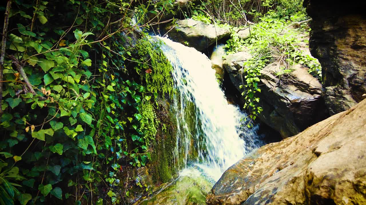 muy hermosa cascada con la luz del sol que pasa a través de las hojas de los árboles en argelia