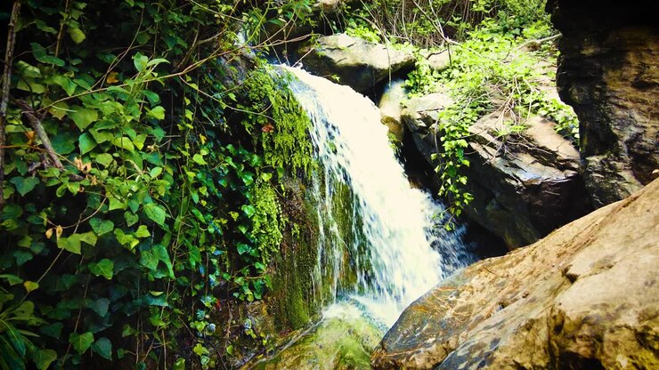 muy hermosa cascada con la luz del sol que pasa a través de las hojas de los árboles en argelia