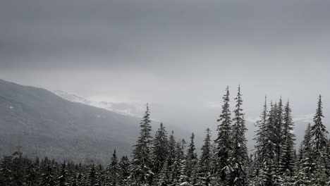 a strong winter snowstorm