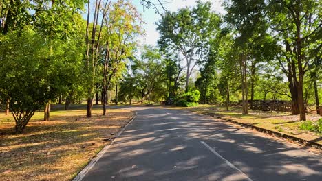 un viaje pacífico a través de un entorno exuberante y verde