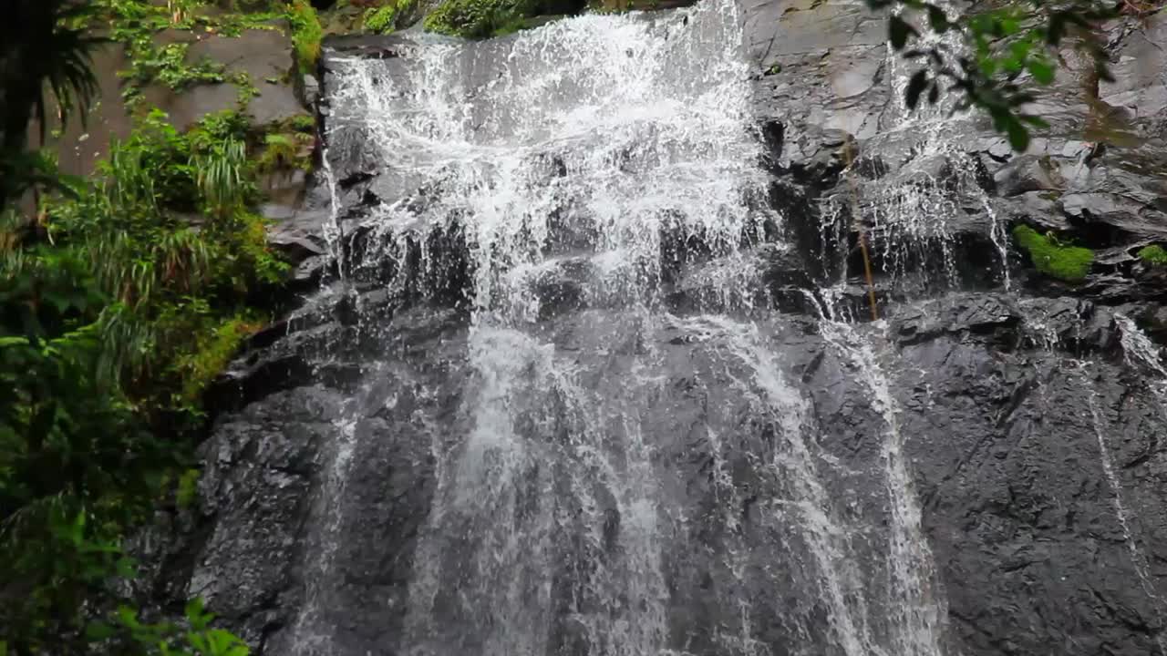 el agua cae en cascada por la ladera de una montaña rocosa en puerto rico