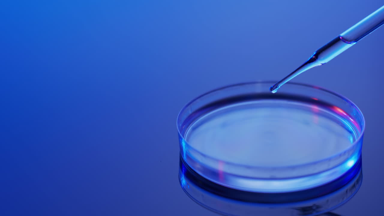 vídeo de la pipeta de laboratorio y el plato redondo con espacio de copia sobre fondo azul