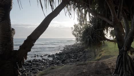 Tropical-Forest-Trees-Near-Rocky-Coastline---Burleigh-Heads-Beach-Under-Bright-Sky-In-Gold-Coast,-QLD,-Australia