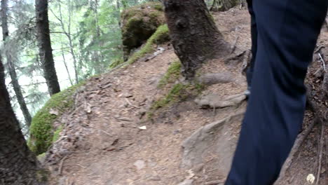 pov of hikers feet from behind on rugged alaska hiking trail