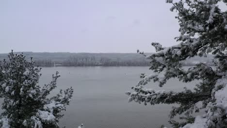 Lago-De-Invierno-Revela-Tiro-A-Través-De-árboles-Nevados,-Aeral