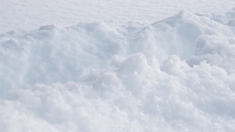 heavy walking in thick snow, close up