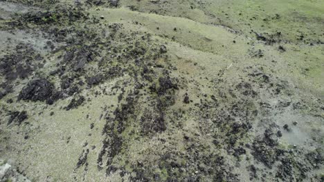 únete a nosotros en este viaje cinematográfico a través del desierto gris de tatacoa y sumérgete en la incomparable belleza de una de las maravillas naturales más enigmáticas de colombia.