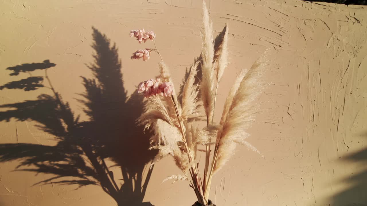 Breeze sending pampas grass bundle swaying, casting shadow on tan patio wall, pink blooms glowing