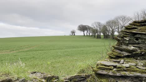 Statisches-Filmmaterial-über-Einer-Steinmauer-Auf-Einer-Ländlichen-Grünen-Wiese-Im-Frühling-In-Irland