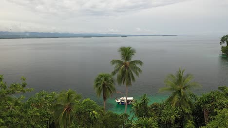 disparo de un dron moviéndose hacia atrás a través de las palmeras de la selva en una isla cerca de la tierra firme en papúa nueva guinea