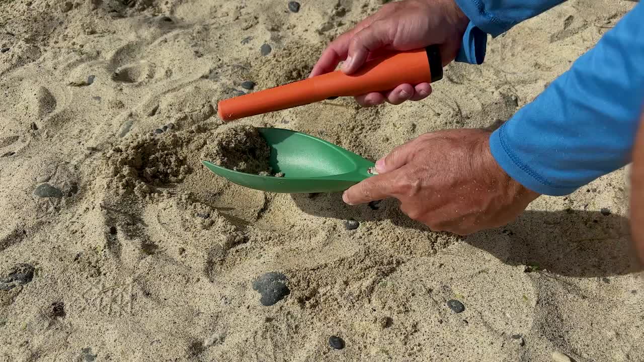 Utilizzo di un metal detector pinpointer per la ricerca di oro e tesori.