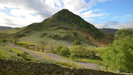 rannerdale knotts i dolina bluebells, lake district, anglia