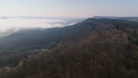 vista aérea de la niebla de primavera en el valle por encima del bosque