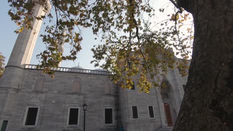 fachada de la mezquita suleymaniye, revelación en cámara lenta, hojas de árboles con rayos de sol, mezquita imperial otomana. istanbul