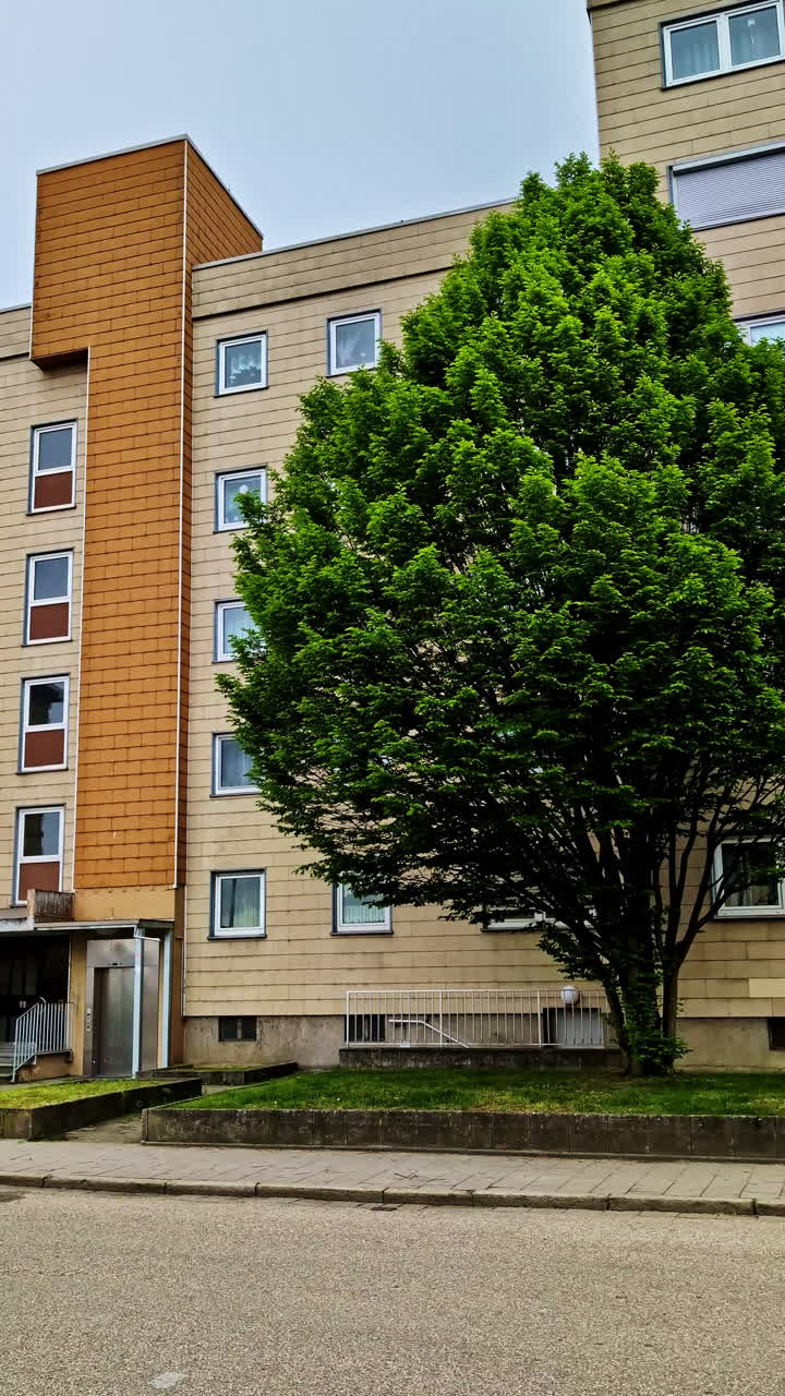 Vertical View Of Large Tree In Front Of A Building In The City Of Regensburg, Germany. Static Shot