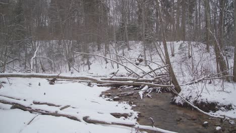 creek in a forest with falling snow and fallen trees on a river