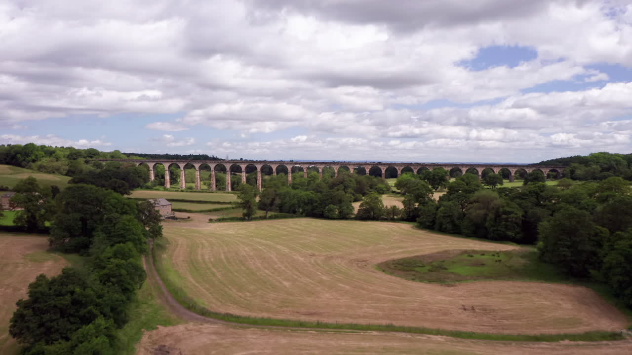 여름날 노스 요크셔의 크림플 리 다이아을 드러내는 롤리