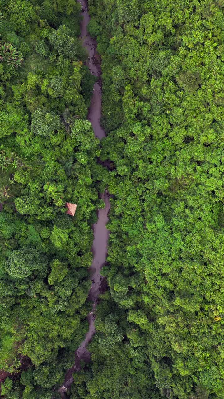 Vertical video showing a deep green valley wrapped in thick rainforest with a winding brown river flowing through untouched terrain, highlighting the raw tropical nature