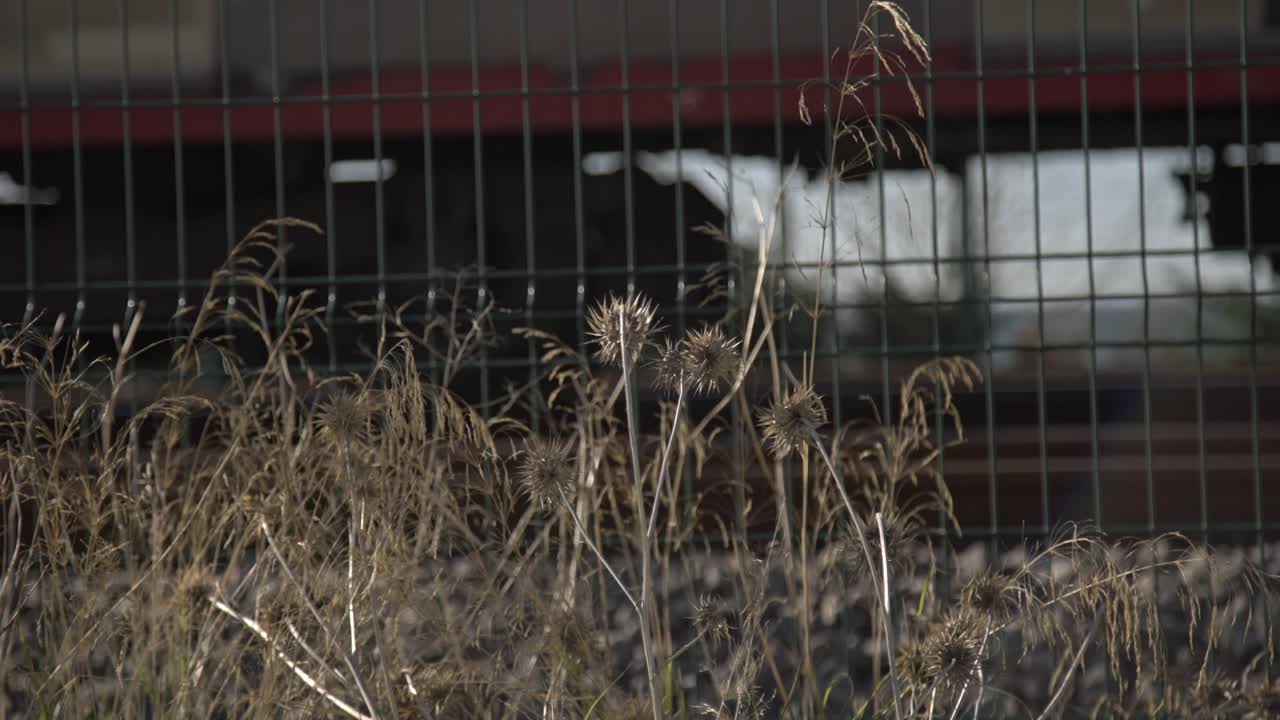Trem nos trilhos, 4K UHD em câmera lenta