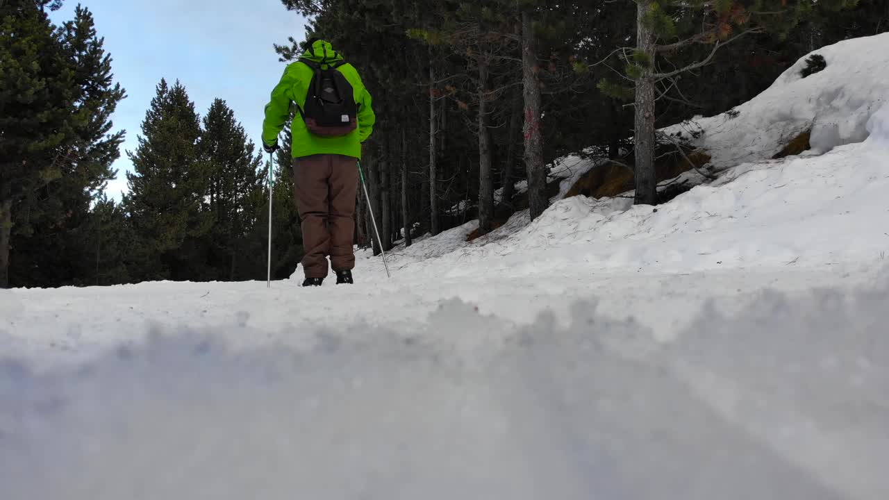 esquiador de fondo aficionado siguiendo una pista de esquí en el bosque