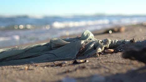 great social problem of pollution on the coast